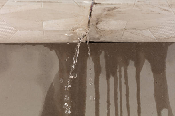 Professional Water Damage Repair technician working in Redbird, OK